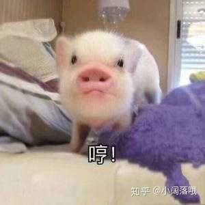 电脑想换个显卡