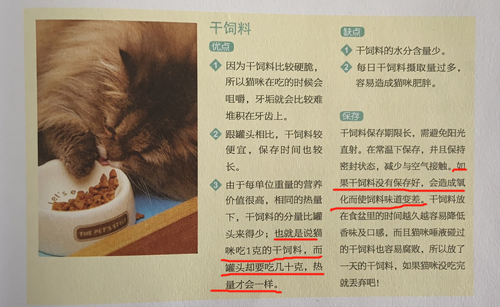 养猫要做好什么准备 包括哪些心理准备 知乎