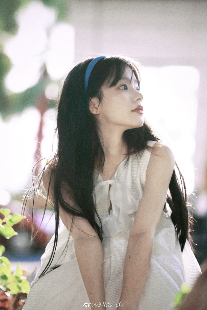 如何评论葵花妙飞鱼 知乎