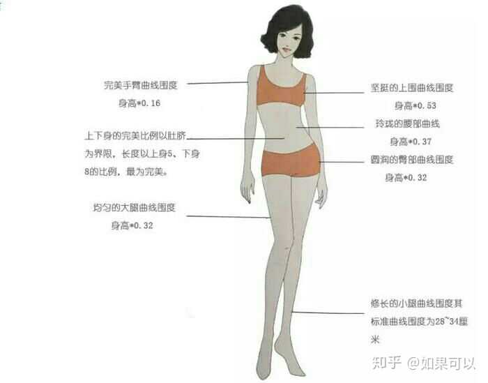 大腿小腿围呢?