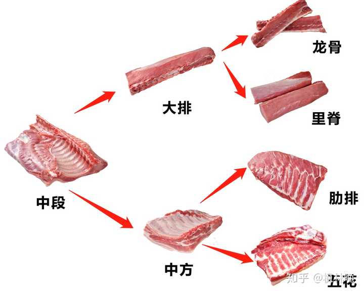 五花肉是豬的哪一塊跟裡脊肉比價格怎麼樣