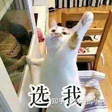 请问下我想买个游戏机在家用是买switch还是wii 知乎 请问下我想买个游戏机在家用是买switch还是wii 知乎