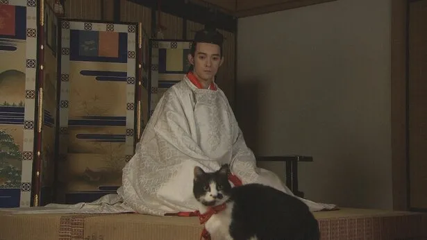 日本人对猫有怎样的情结 猫在日本文化中是什么形象 知乎