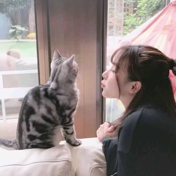 有哪些甜到骨子里的情话?
