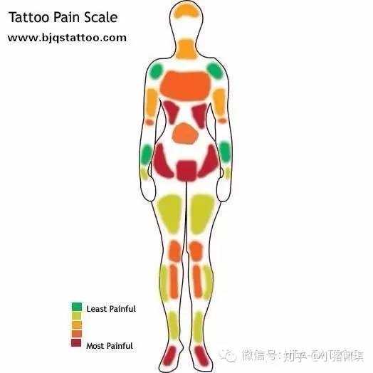 放一張紋身疼痛程度圖,綠色是能夠忍受的,紅色是最難以忍受的.