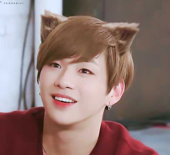 为什么姜丹尼尔的表情包如此受欢迎?