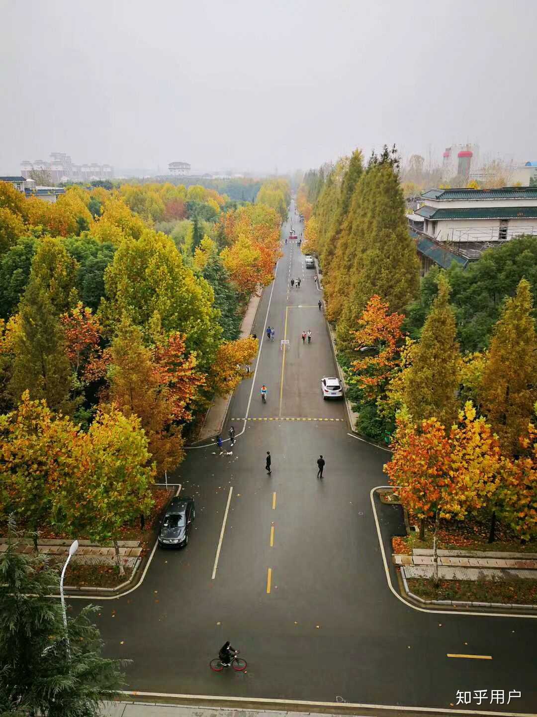 武汉生物工程学院文科专业哪些好?学校学习氛