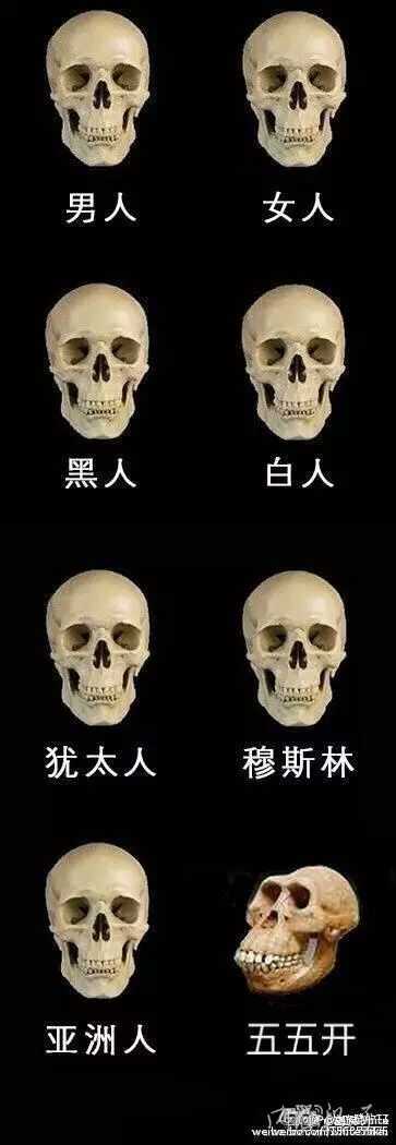 现代的不同人种的骨骼差别大吗 知乎 现代的不同人种的骨骼差别大吗 知乎