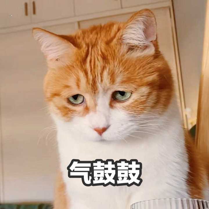 如何评价 琉璃 知乎 如何评价 琉璃 知乎