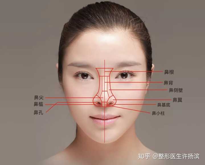 中度、重度鼻基底凹陷怎么解决？ - 知乎