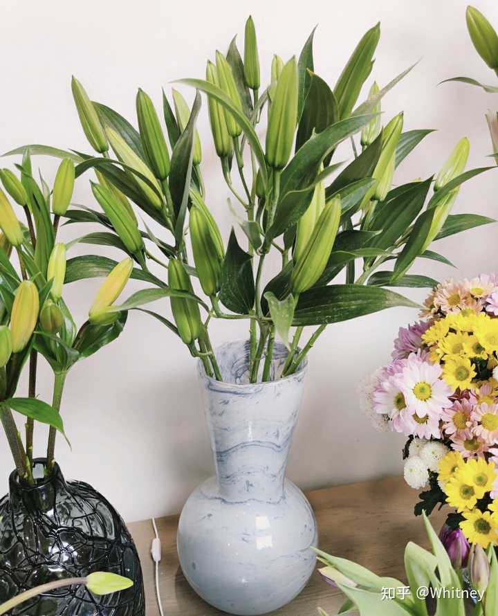 想买一个插百合的花瓶 看了好久 始终没有那种很中意的 你们有什么推荐么 知乎 想买一个插百合的花瓶 看了好久 始终没有那种很中意的 你们有什么推荐么 知乎