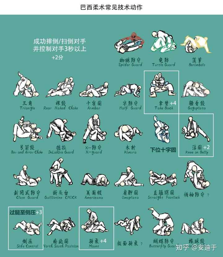 请问柔道和巴西柔术的区别到底在哪里,怎么好多的技术都是一样的,所以