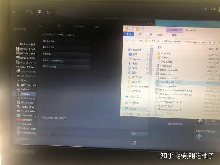 泰拉瑞亚1 4启动不了 泰拉瑞亚pc暂停键在哪里 Steam泰拉瑞亚打不开