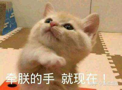 淘宝上的优惠券怎么领取?教你优惠券的方法插图11 淘宝上的优惠券怎么领取?教你优惠券的方法插图11