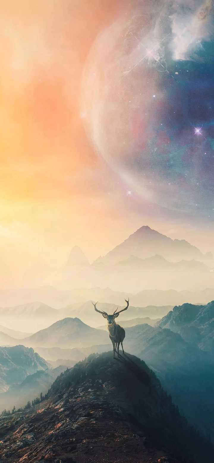 有好康的手机壁纸推荐吗