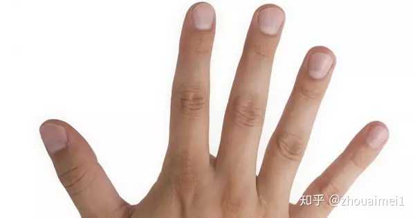 指甲上没有半月牙就是不健康吗 知乎 指甲上没有半月牙就是不健康吗 知乎