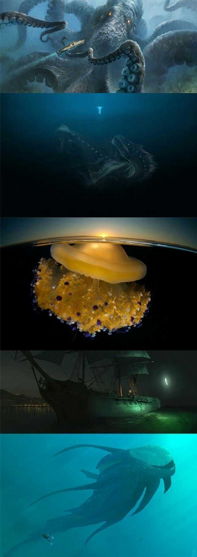 深海 恐怖 画像