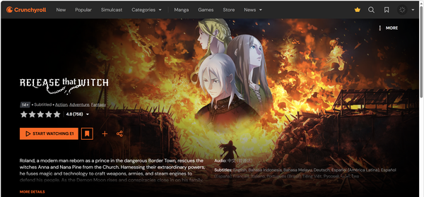 如何评价网络小说同名改编动画《放开那个女巫》？