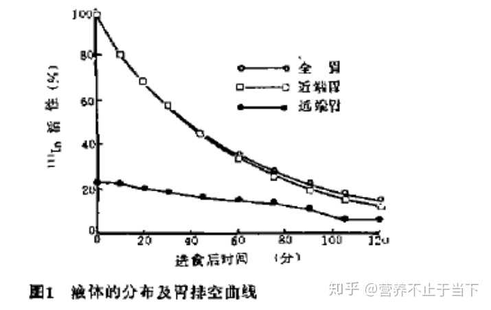 液状食物需要的消化时间更长吗 知乎