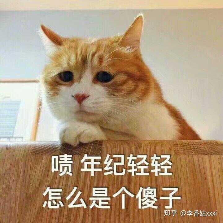 如何防止猫抓沙发 知乎 如何防止猫抓沙发 知乎