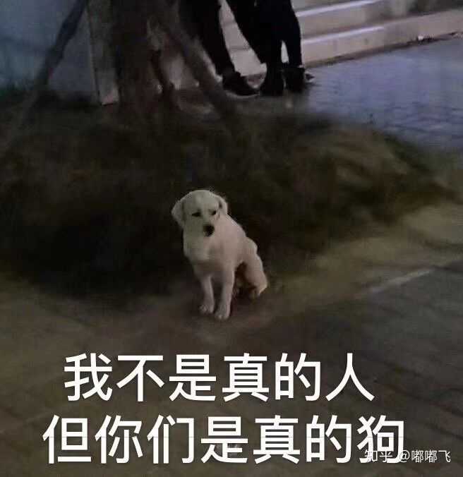 有哪些意难平的虐文 知乎 有哪些意难平的虐文 知乎