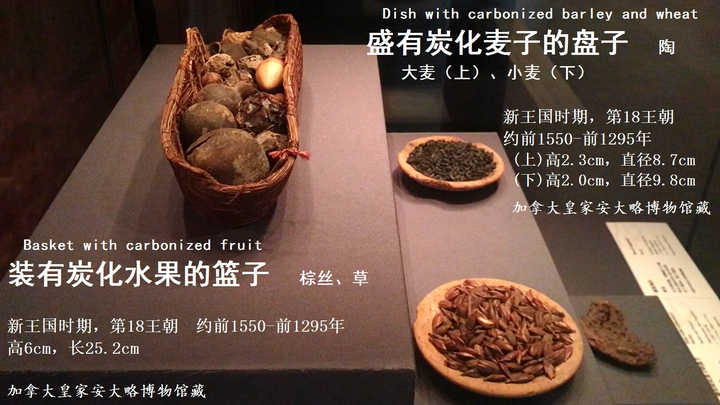 怎么才能活出古埃及贵族的感觉 知乎 怎么才能活出古埃及贵族的感觉 知乎