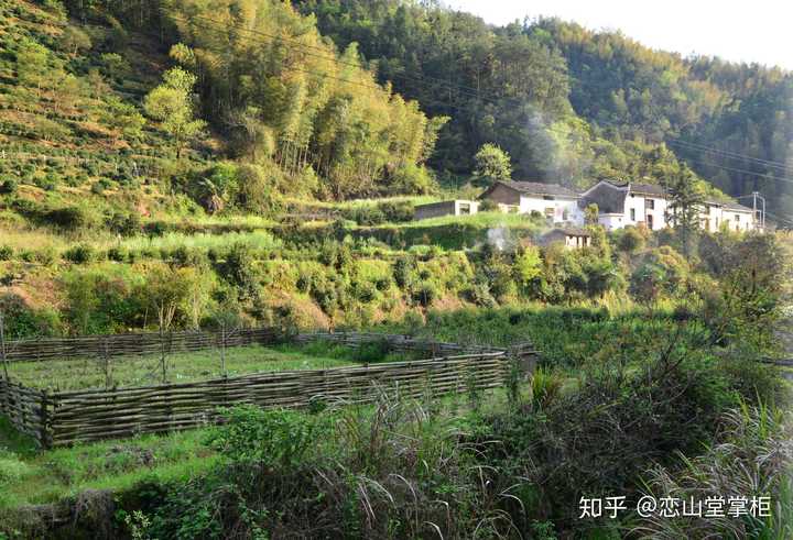 祁门红茶的分类? - 知乎