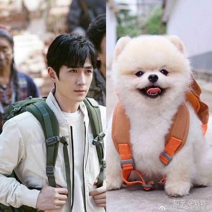 重启吴邪的"狗"体现在哪里?