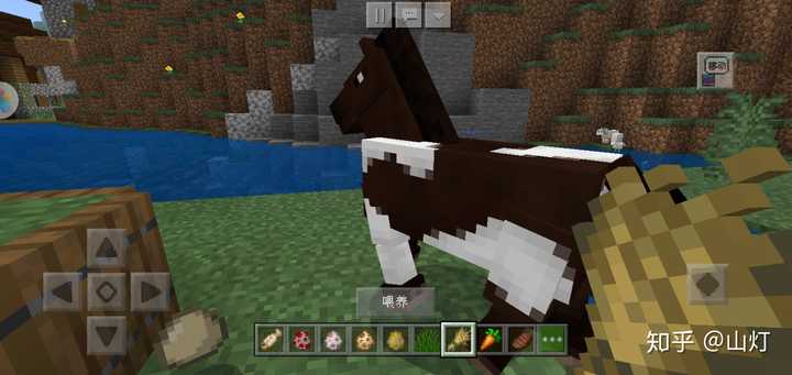 Minecraft 中有哪些惊愕的事实 知乎