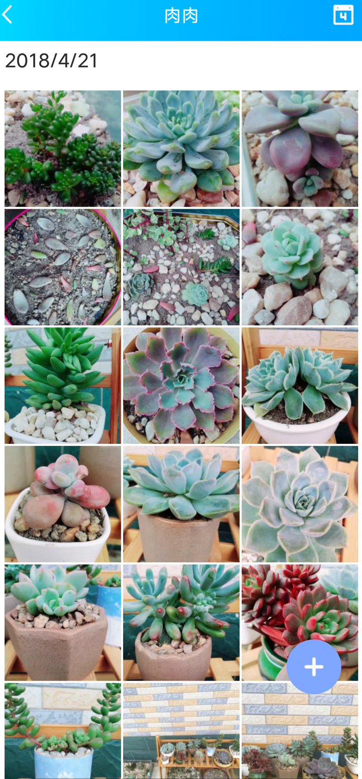 多肉徒长是怎样的体验 吃一只虾的回答 知乎