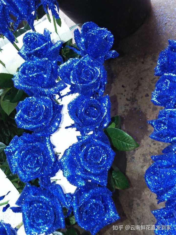 市面上的蓝色妖姬是假花还是干花做的?