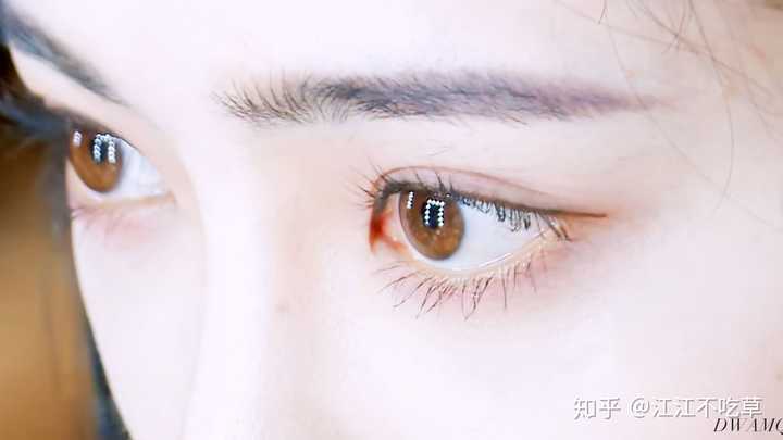 为什么许佳琪叫狐狸 知乎 为什么许佳琪叫狐狸 知乎