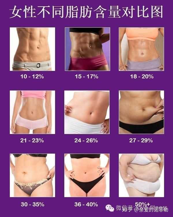 女身高166 体重51kg 体脂率30 怎么减脂 知乎