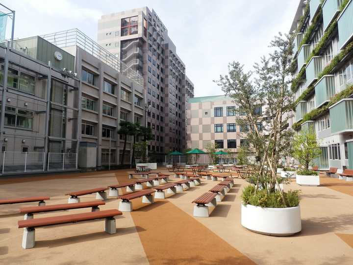 请问日本的立正大学如何 学校有一个合作的项目 知乎