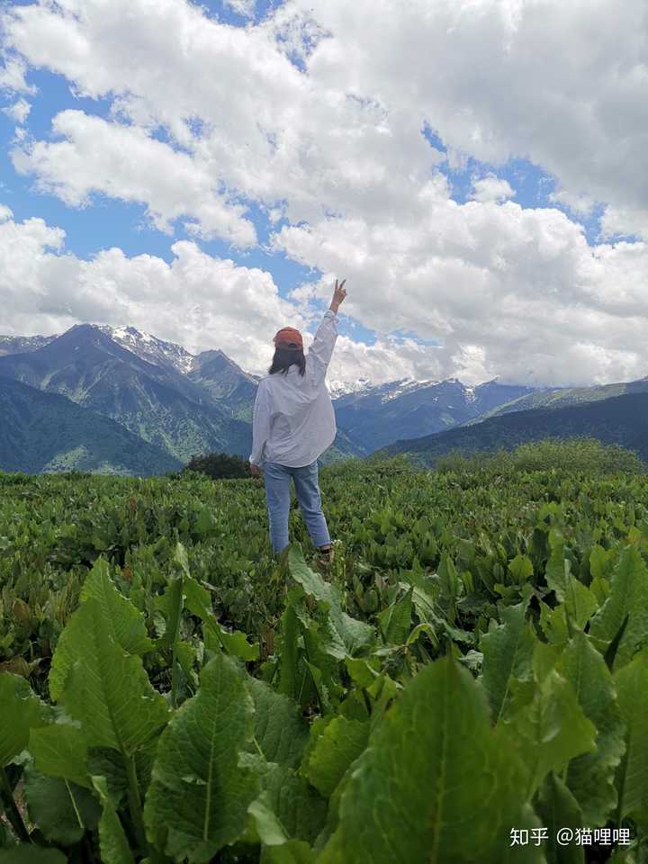 对面的雪山雪线已经变高了,但是依旧凉爽,撒波狗粮,来一张情侣背影照