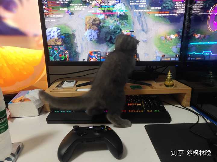 144hz 和60hz 显示器差别很大吗 知乎