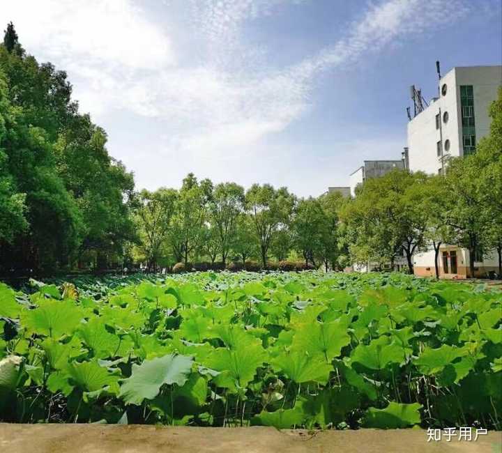 南昌大學共青學院怎麼樣啊?環境還行嗎?