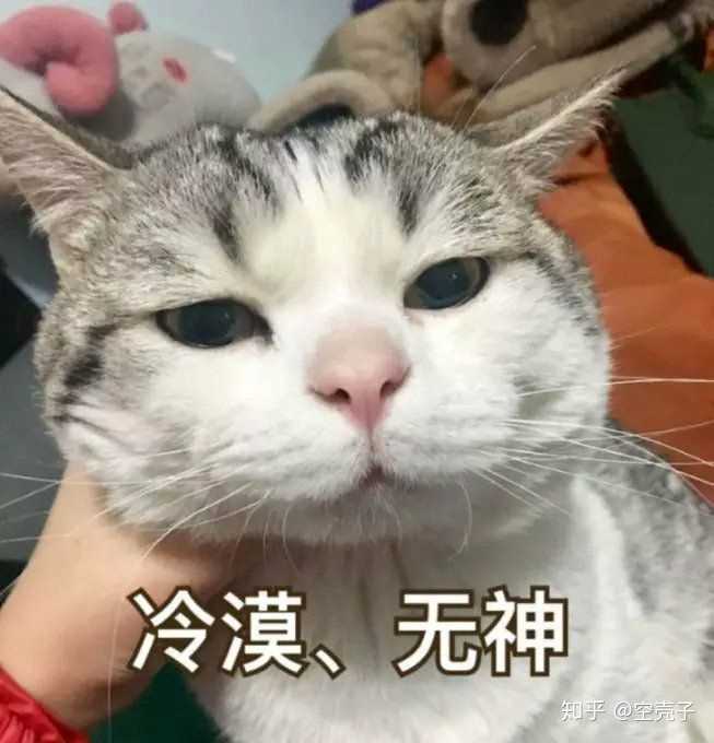 我太難了