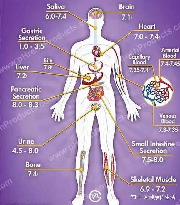 健康优生活 的想法: 人体有最适合的ph值,过酸或者过碱都会影