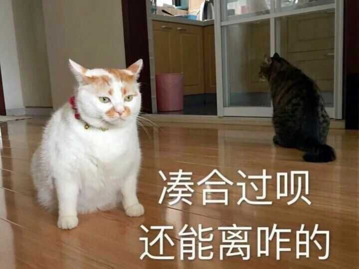 减肥期间有哪些低脂又好吃的方便食物 知乎 减肥期间有哪些低脂又好吃的方便食物 知乎