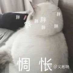 有没有让朋友圈人气暴涨的沙雕文案?