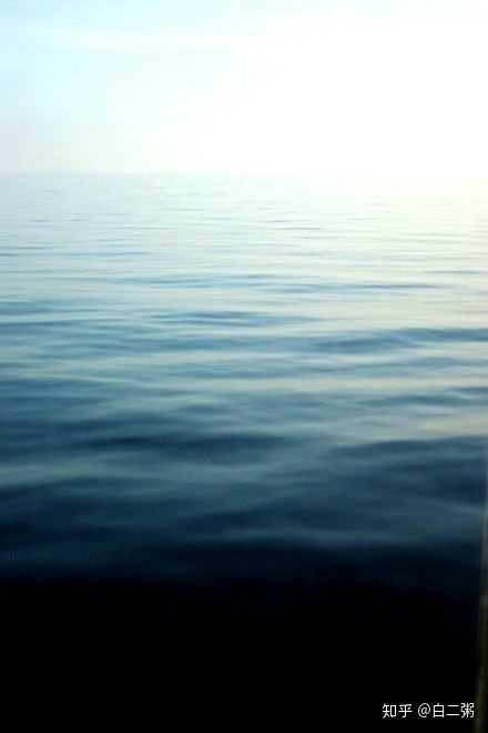 有哪些深海恐惧症看了会害怕的图片 知乎