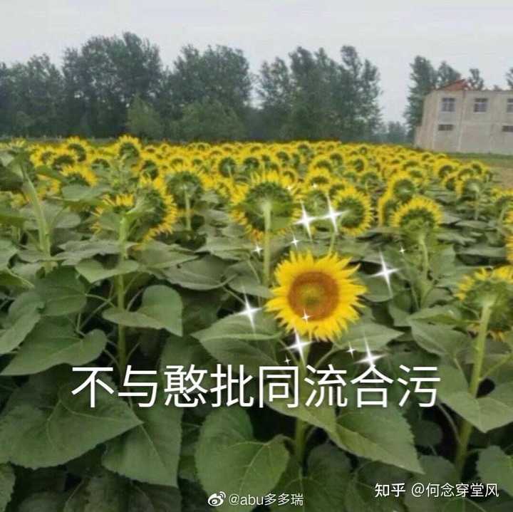 哪些文案让你一看就能笑出声来?