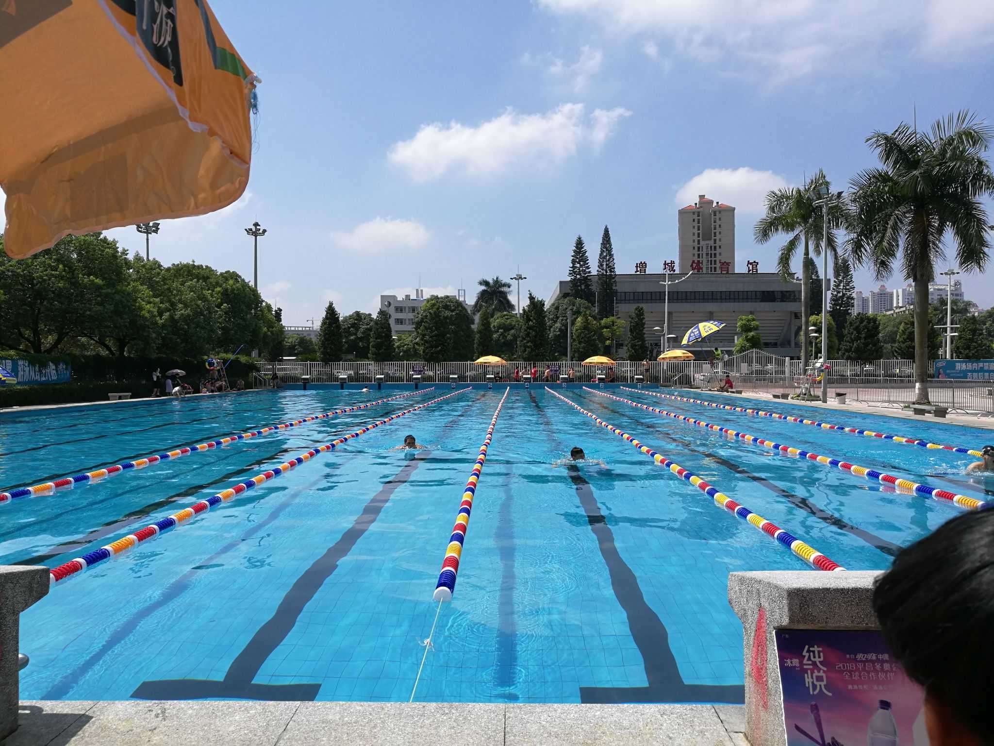 早上游泳比赛初赛,来给同事打气的 - 知乎