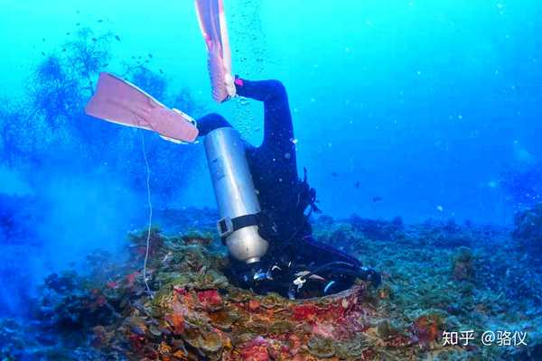 骆仪的蓝色鸦片