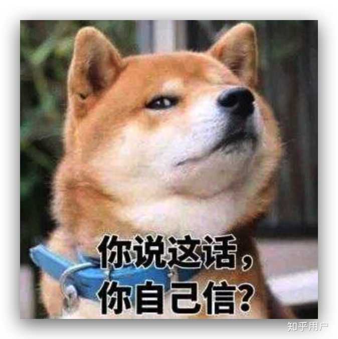 向往做一个单身狗