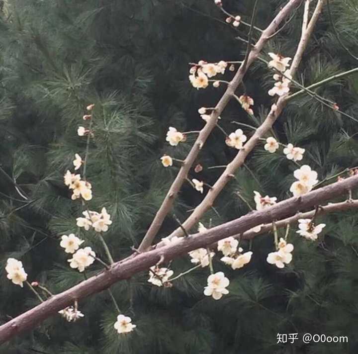 有哪些读上去文艺而有韵味的句子?