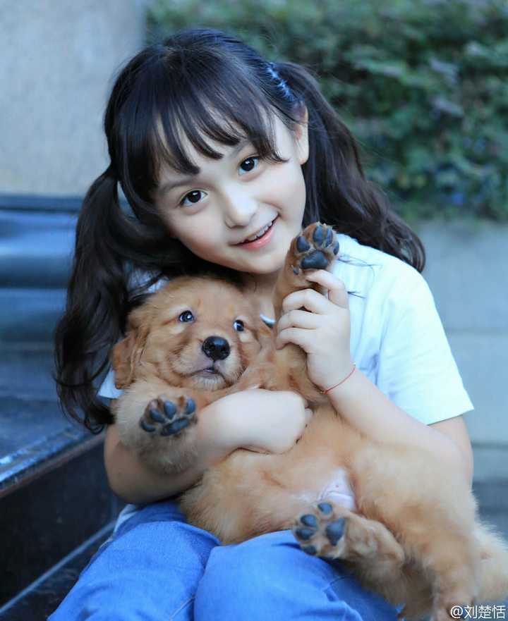 美人胚子到底是长什么样的?