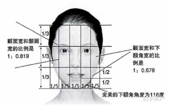 人的脸型有多少种?理想的脸型是怎样的?怎样瘦脸? - 知乎