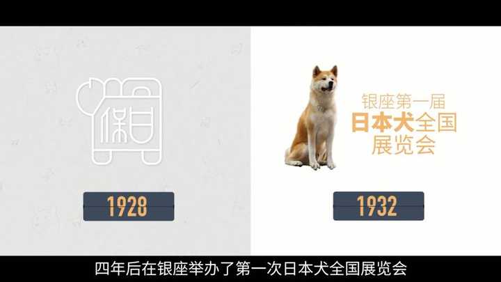 为什么中华田园犬和日本柴犬在各自国家的待遇差别这么大 知乎